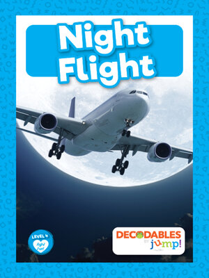 Night Flight - ebook